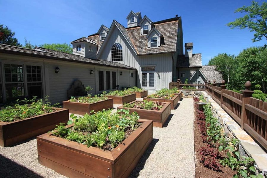 A Vegetable Garden