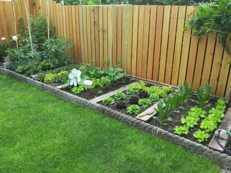 The Vegetable Garden Plot