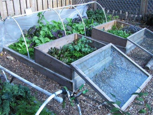 Garden Soil Preparation