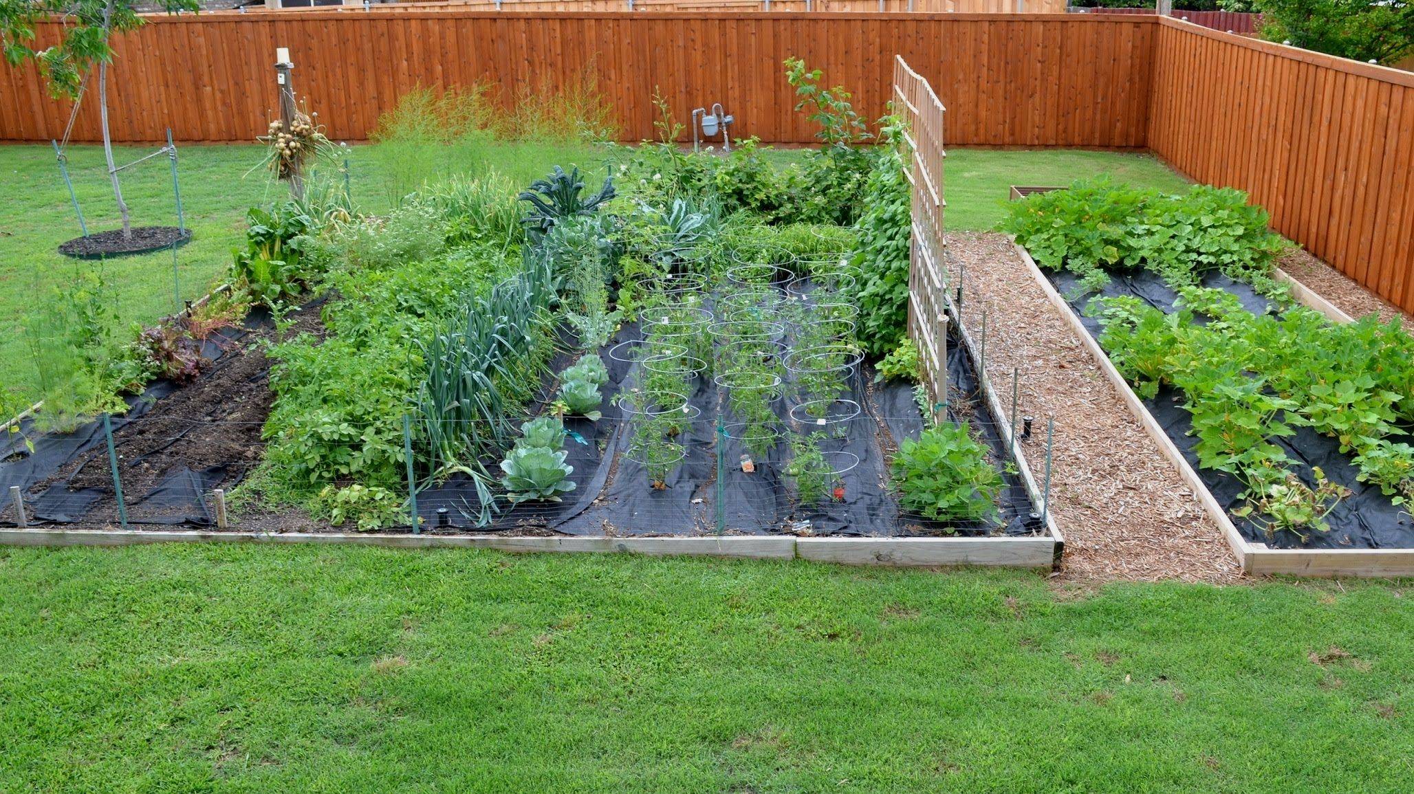 Vegetable Garden Plans