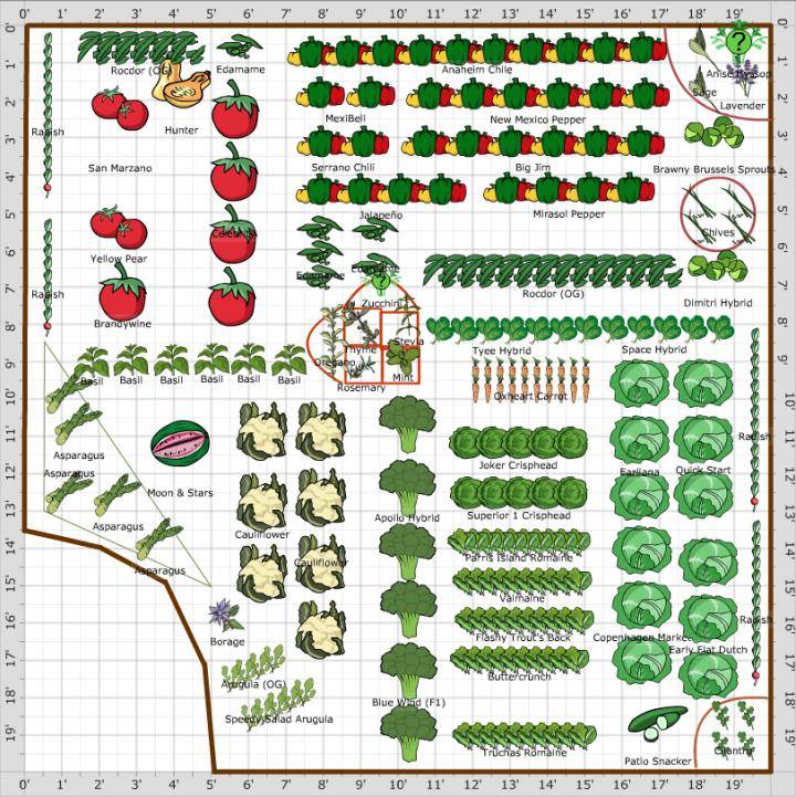 A Vegetable Garden Planner