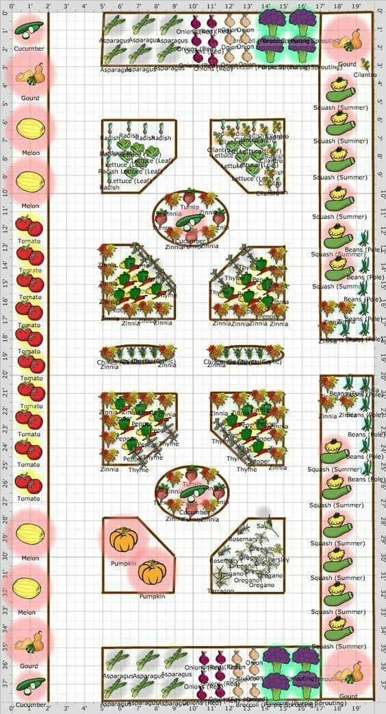 Vegetable Garden Layout Tips