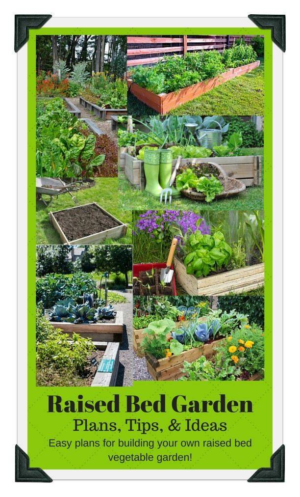 Vegetable Garden Planner Review