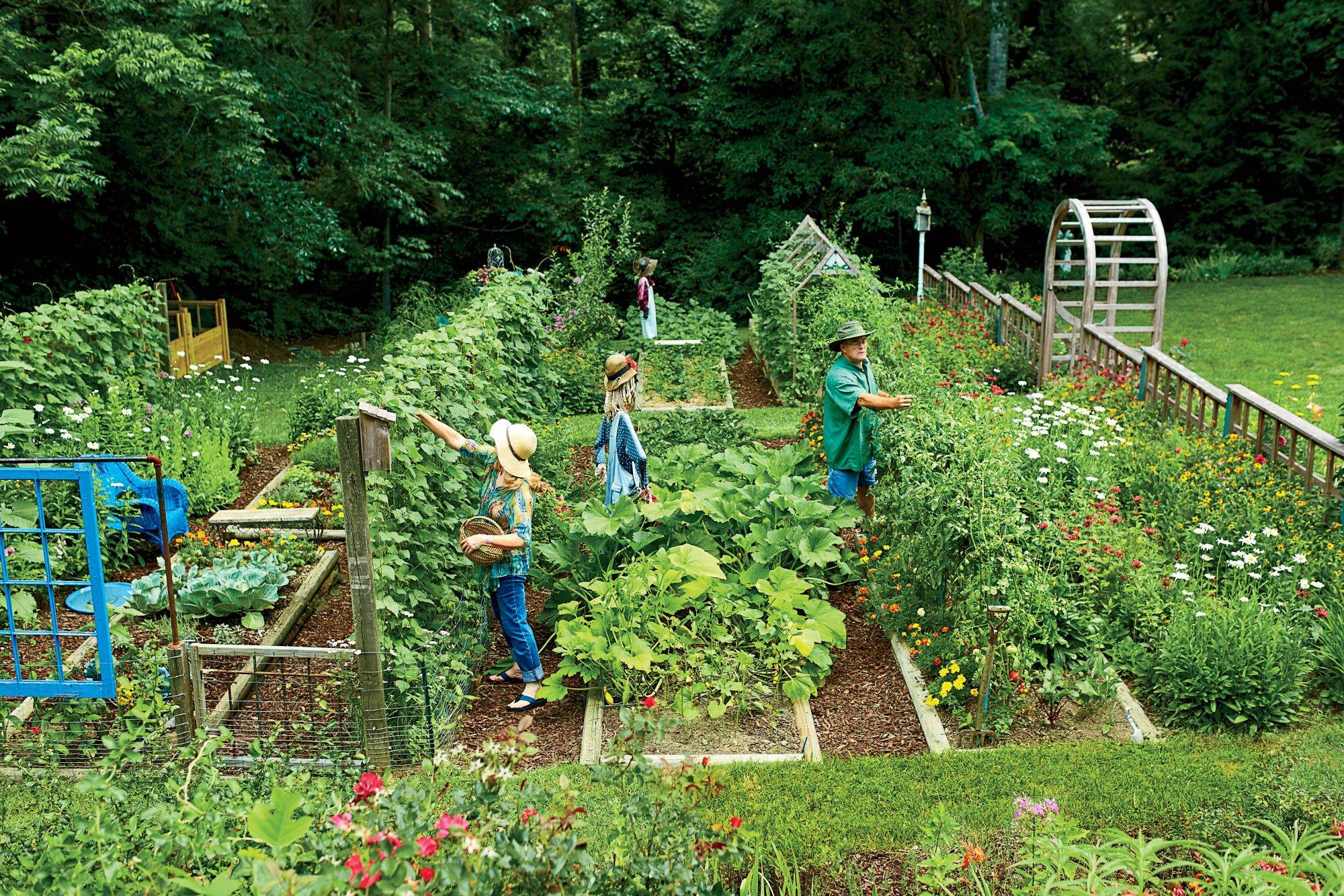 Vegetable Garden