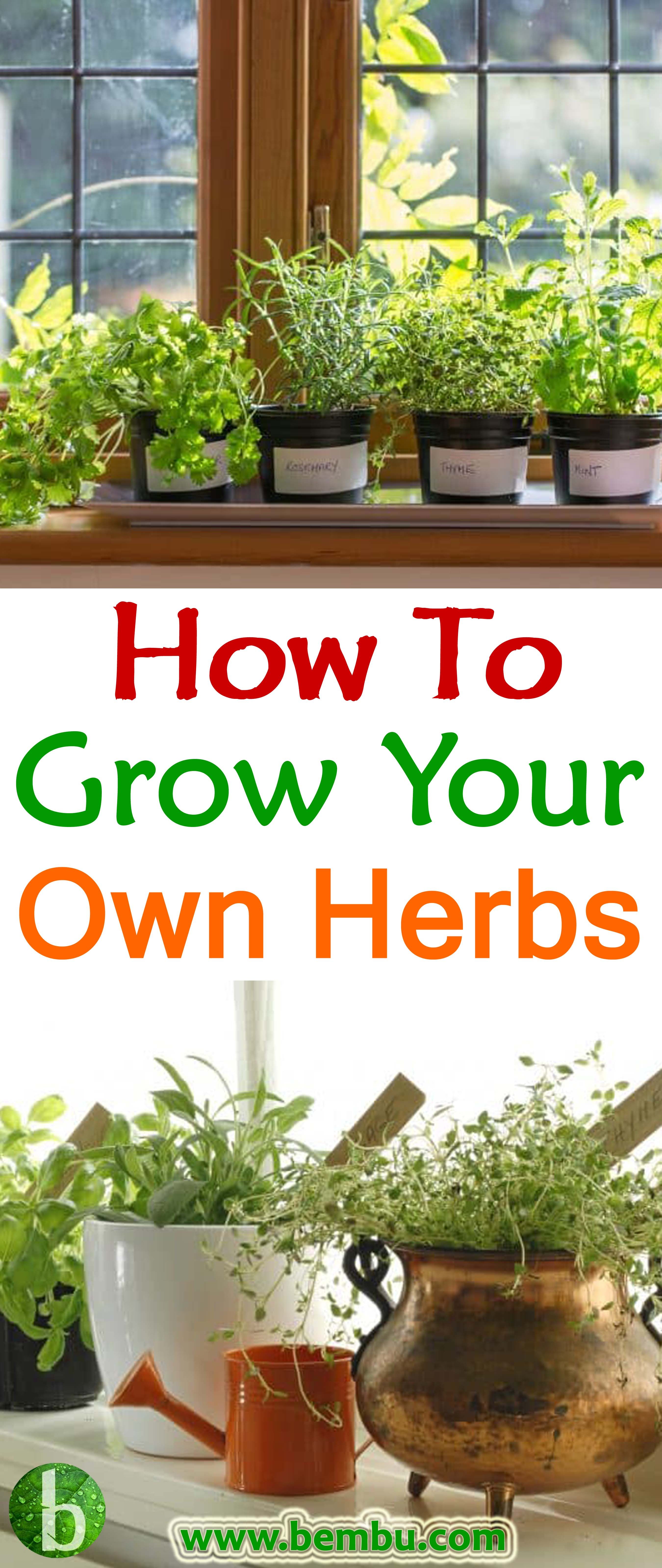 Your Own Kitchen Garden
