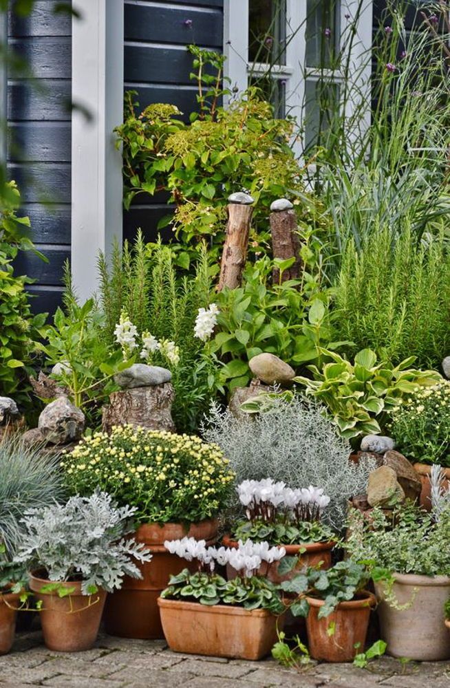 Your Own Vegetables Hornby Garden Designs Vegetable Plants