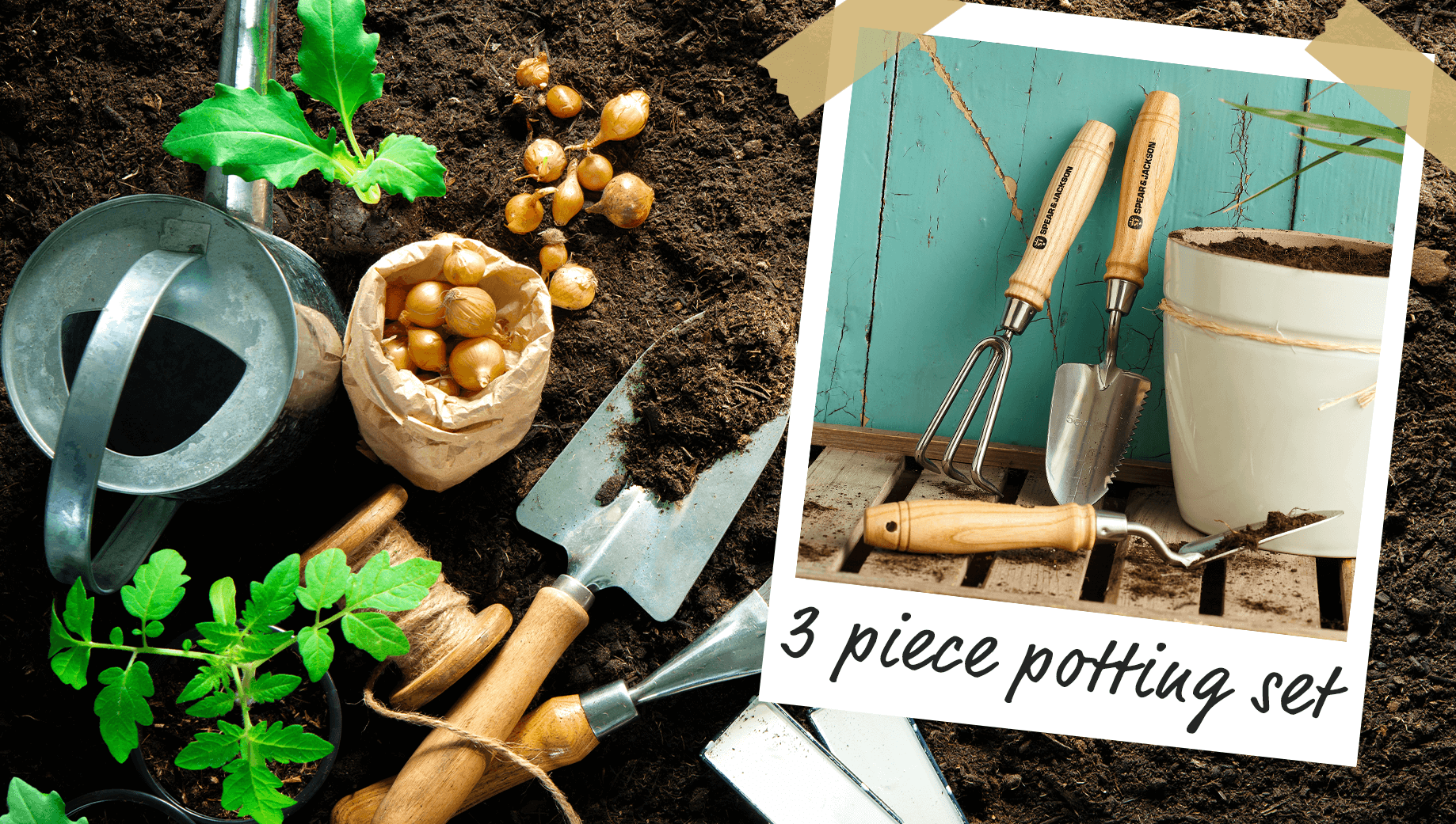 A Vegetable Garden