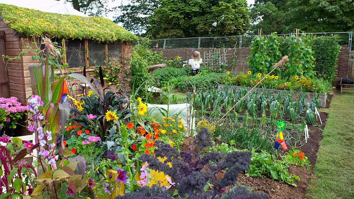 Your Own Backyard Vegetable Garden Falconcrest Homes