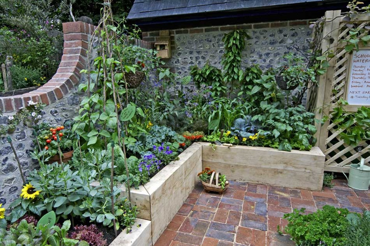 Vegetable Garden Top