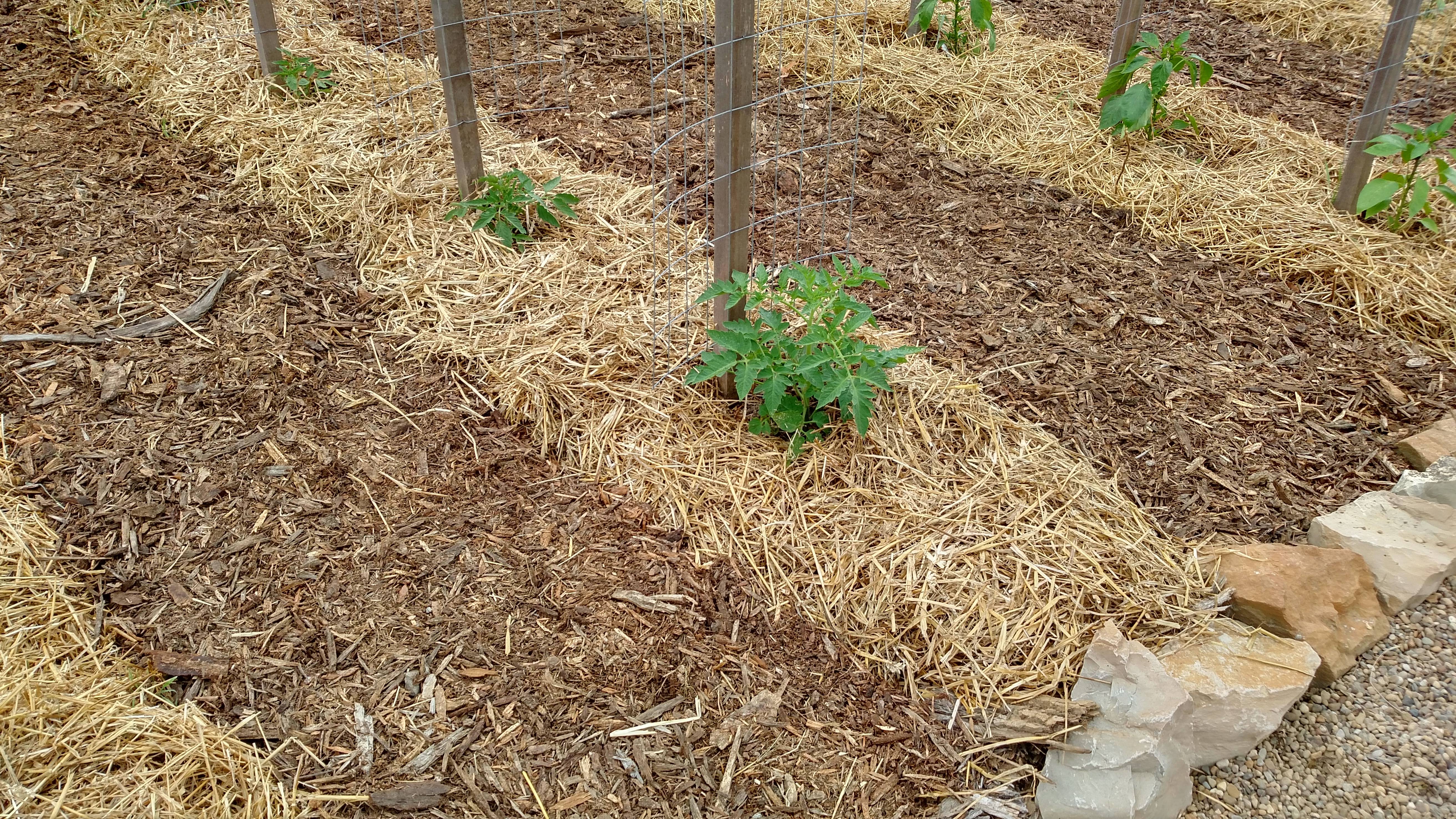 Garden Weeds