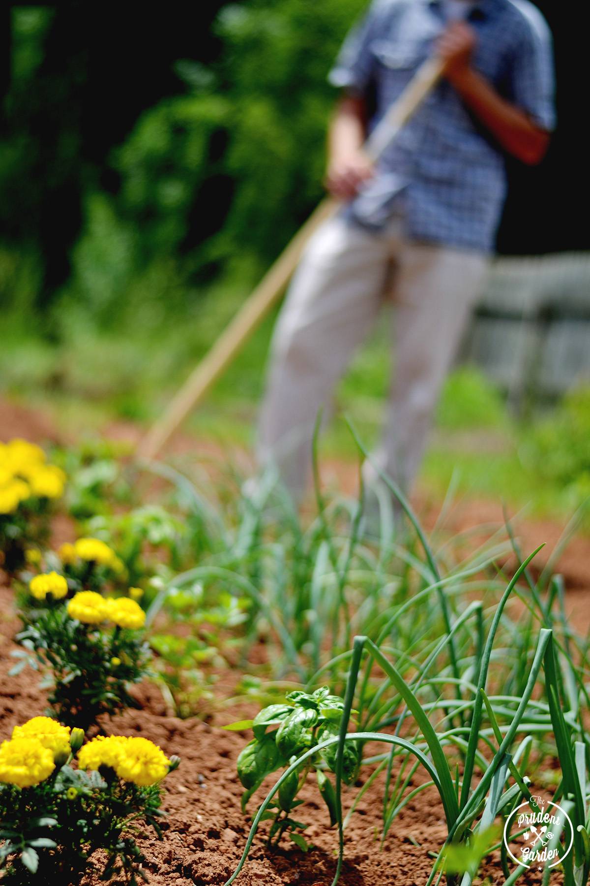 Garden Weeds