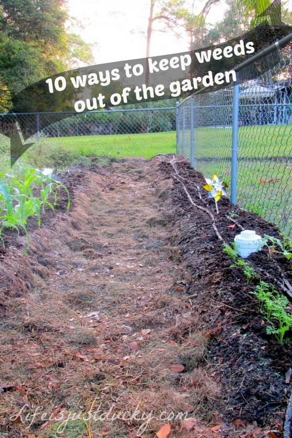 Every Gardening Lover