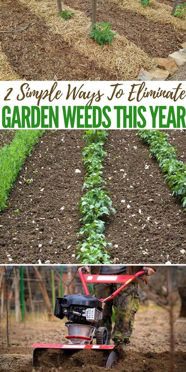 Creative Garden Hacks