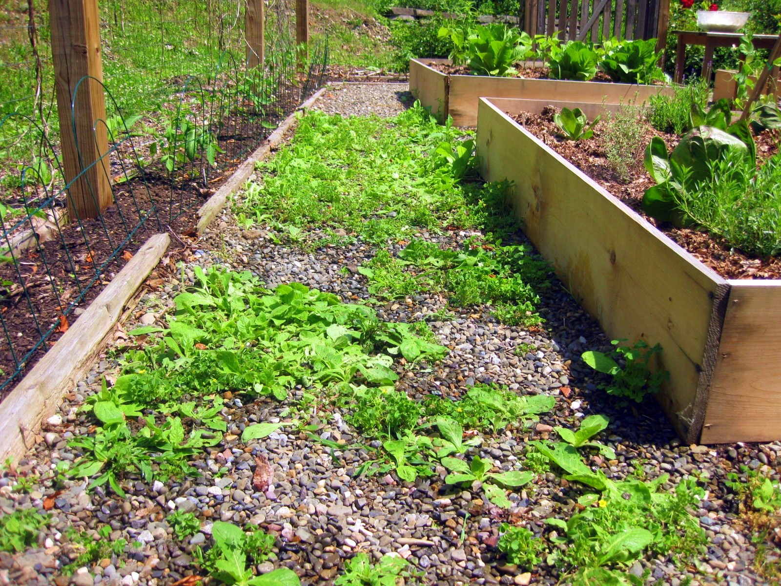Your Organic Garden