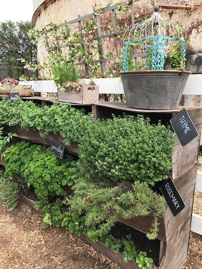 Garden Ideas