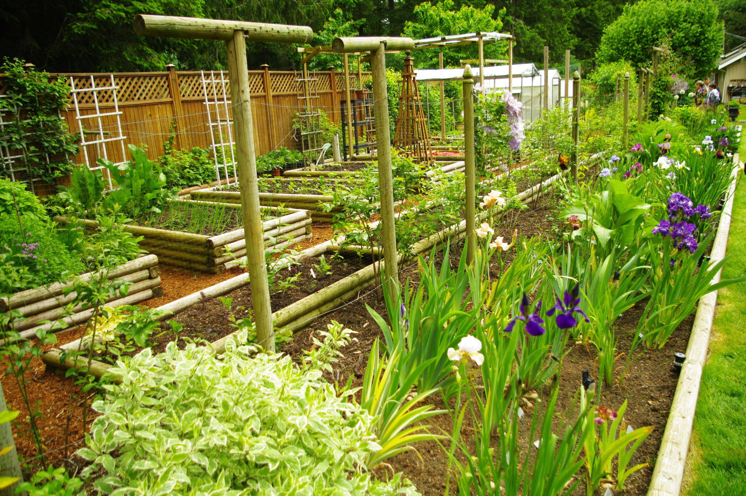 Unique Raised Garden Bed Ideas Vegetables