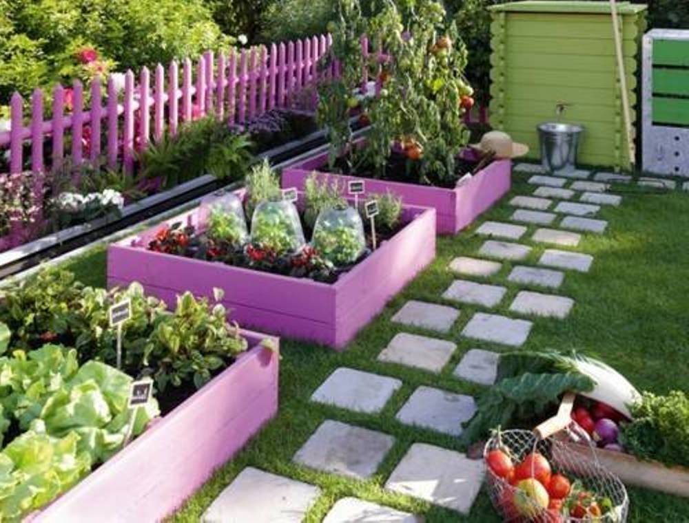 Advantageous Small Vegetable Garden Ideas