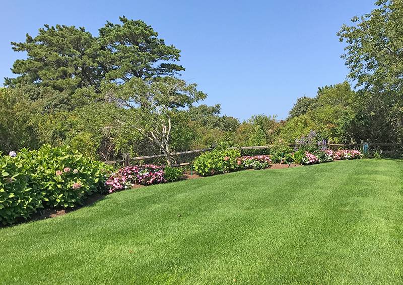 Shade Garden Plants