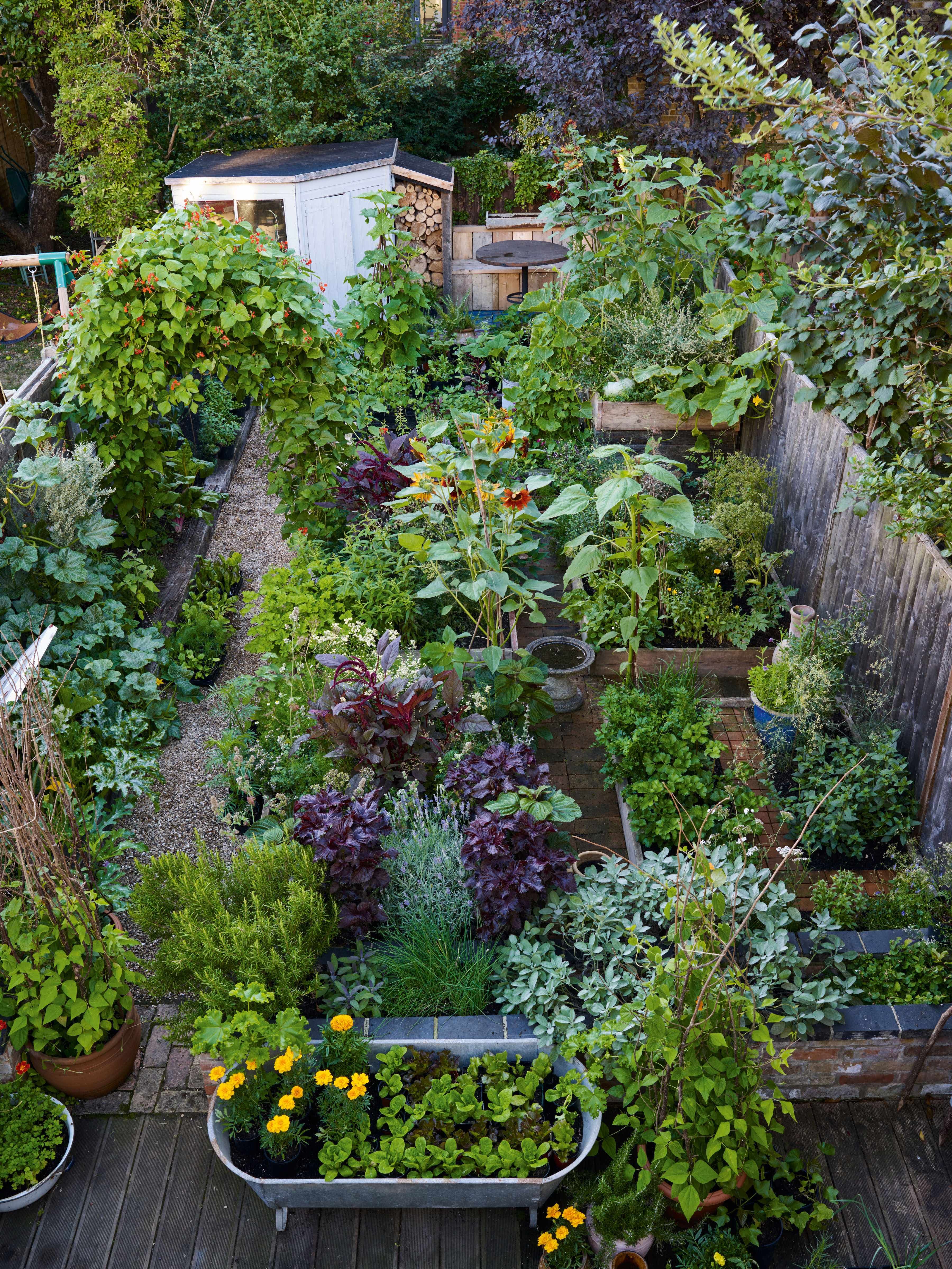 Edible Garden Designs