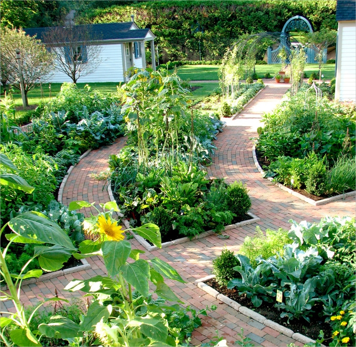 Little Zoes Own Edible Garden Bedroom Wall Designs