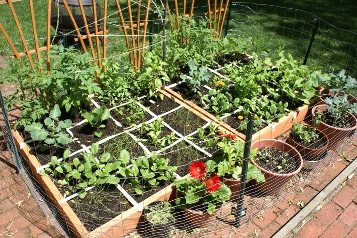 Creative Garden Ideas