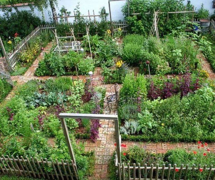 Best Beautiful Vegetable Gardens Ideas