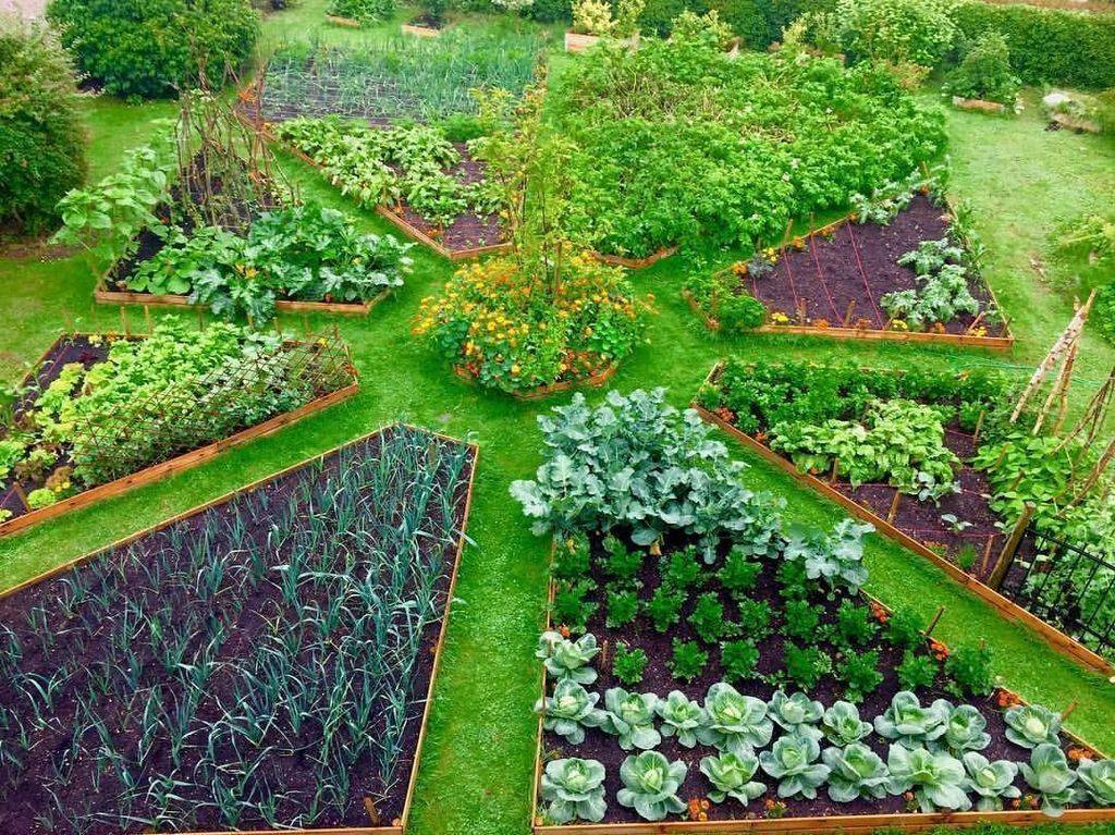 Beautiful Urban Permaculture Garden Example