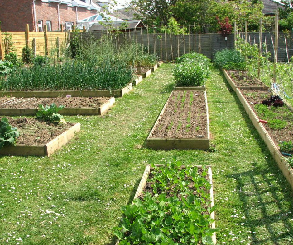 Permaculture Garden Progress