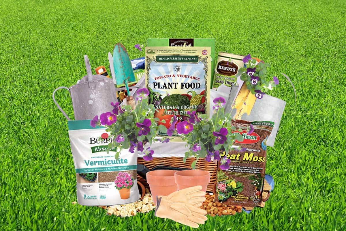 The Vegetable Gardener Gardenologist
