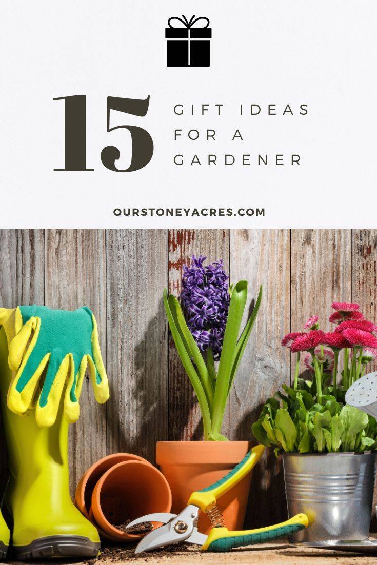 Vegetable Garden