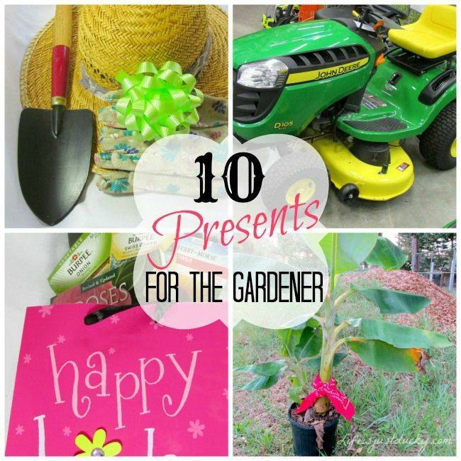 Vegetable Gardeners Cool Garden Gadgets