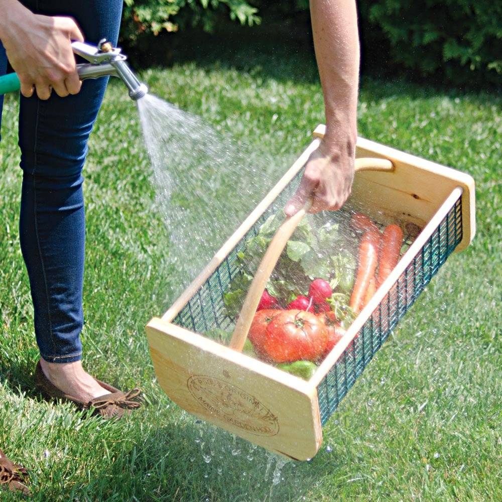 Small Vegetable Garden Ideas