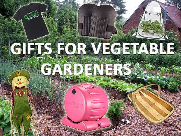 Top Gift Ideas