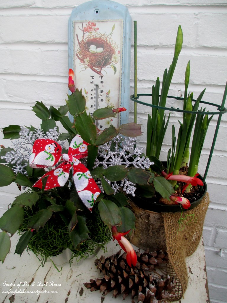 Garden Gifts