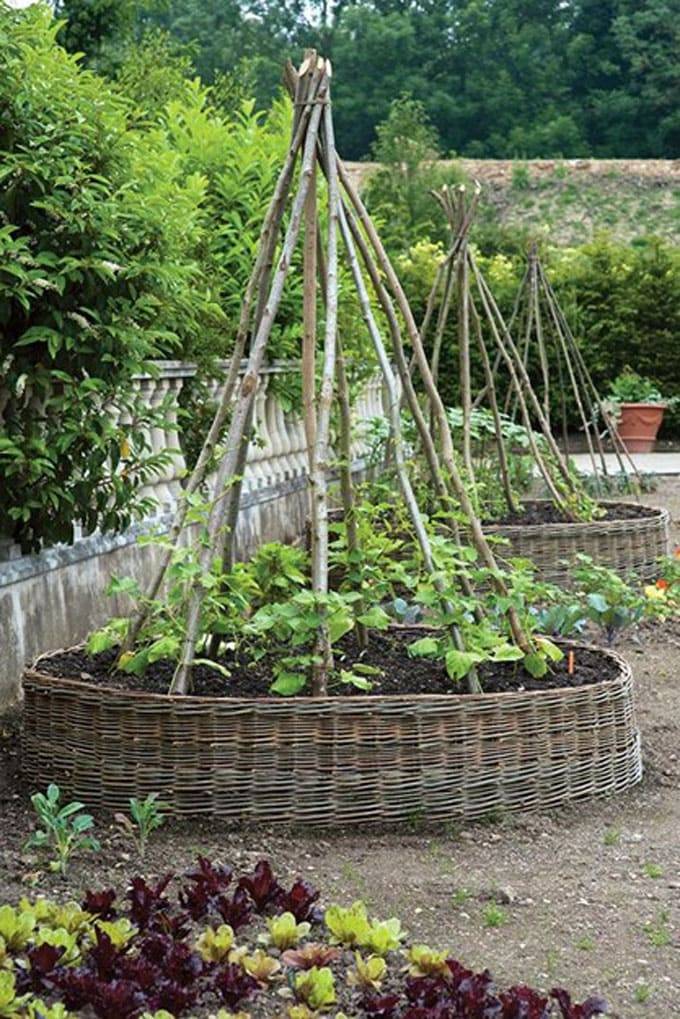 Vegetable Garden Trellis Ideas Simphome Garden Trellis