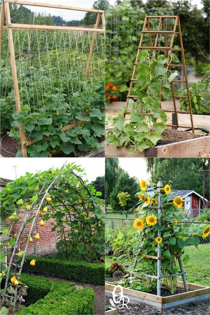 Easy Diy Garden Trellis Ideas