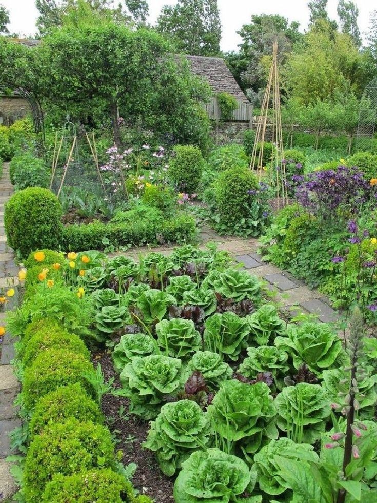 Beautifuly Colorful Vegetable Garden Design Ideas Page