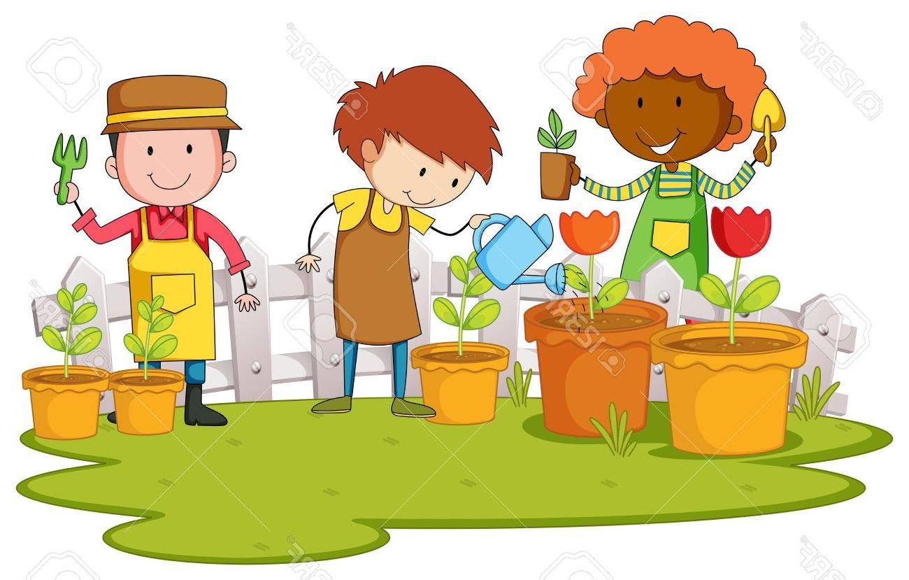 Carrot Garden Vector Image