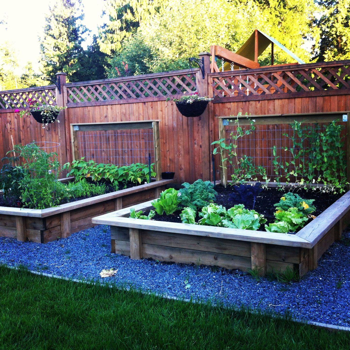 25 Dream Vegetable Garden Ideas To Try This Year SharonSable