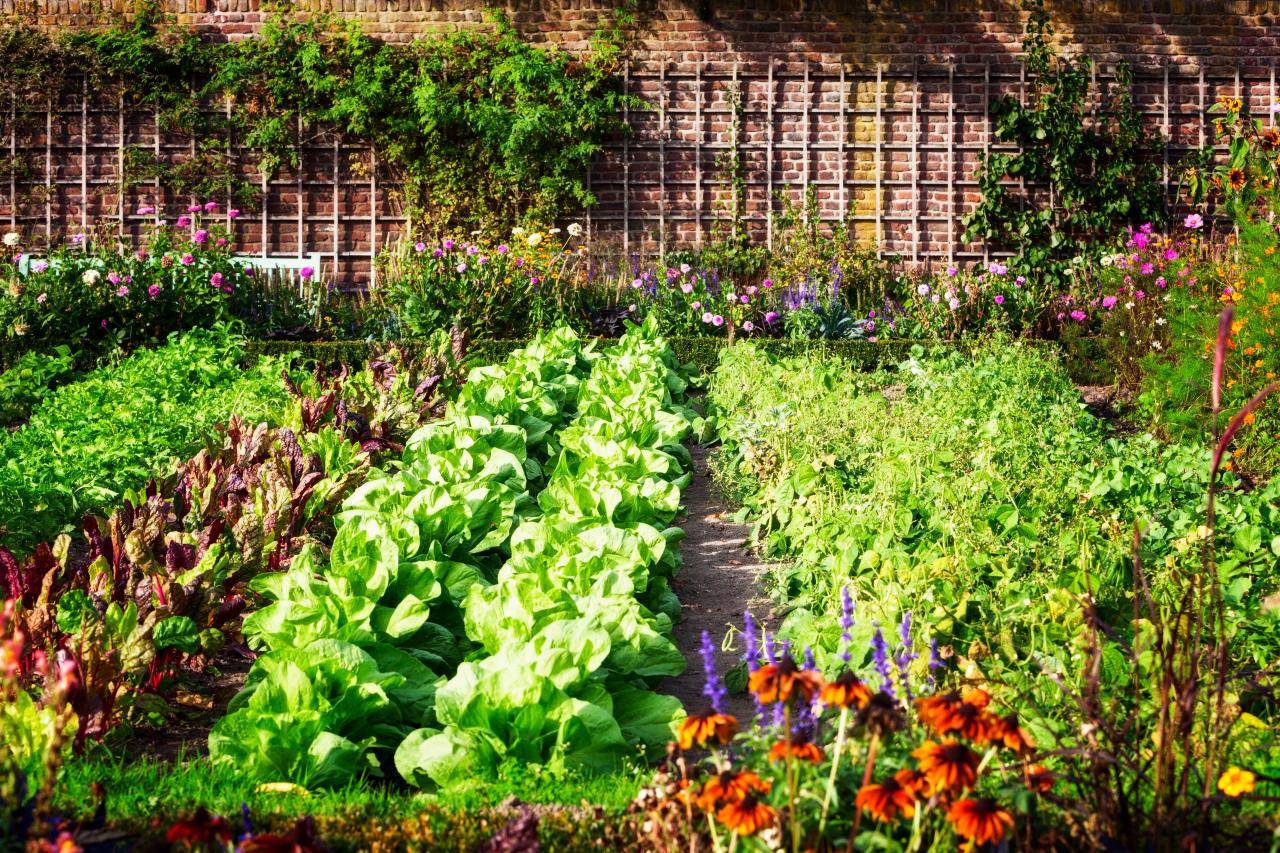 New Snapshots Vegetable Garden Design Concepts