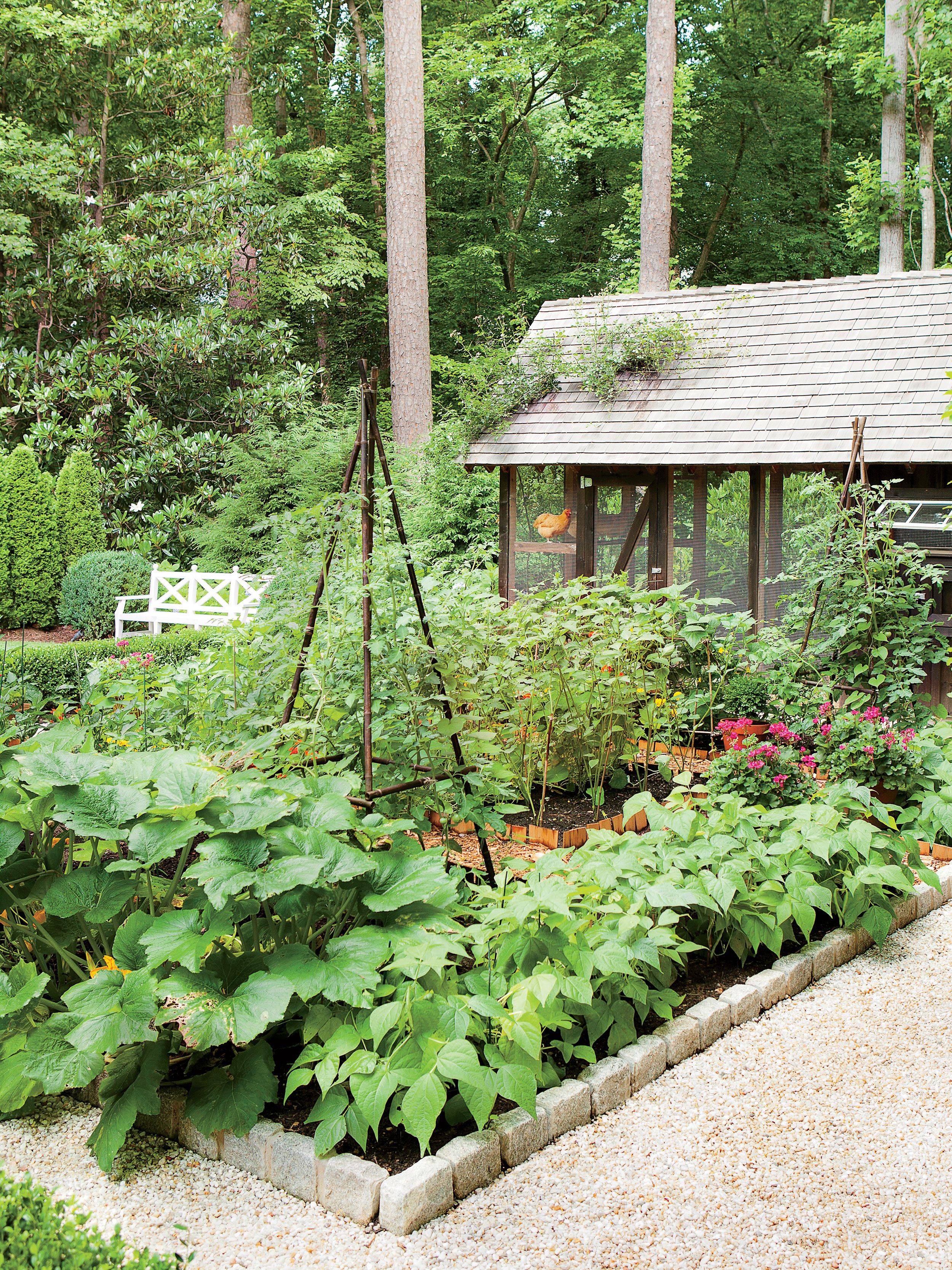 Gardening Herb Garden Design