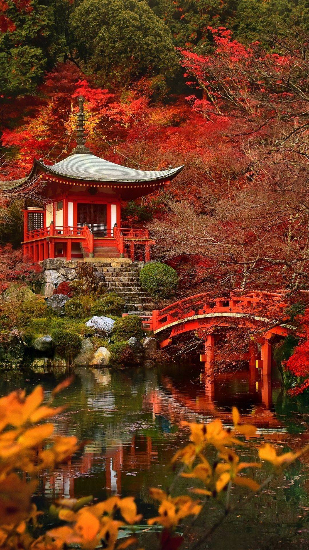 Stunning Japenese Garden Ideas