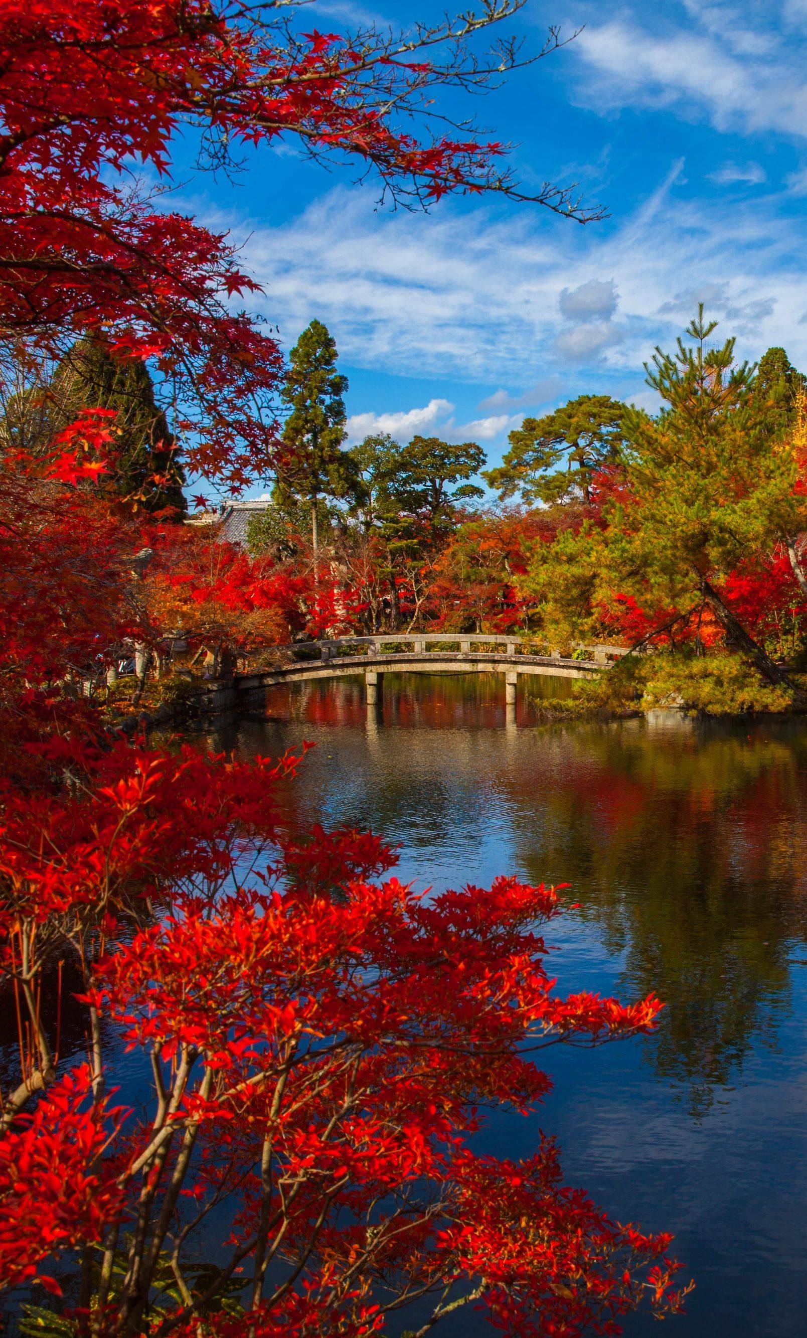 Beautiful Japanese Garden Designs