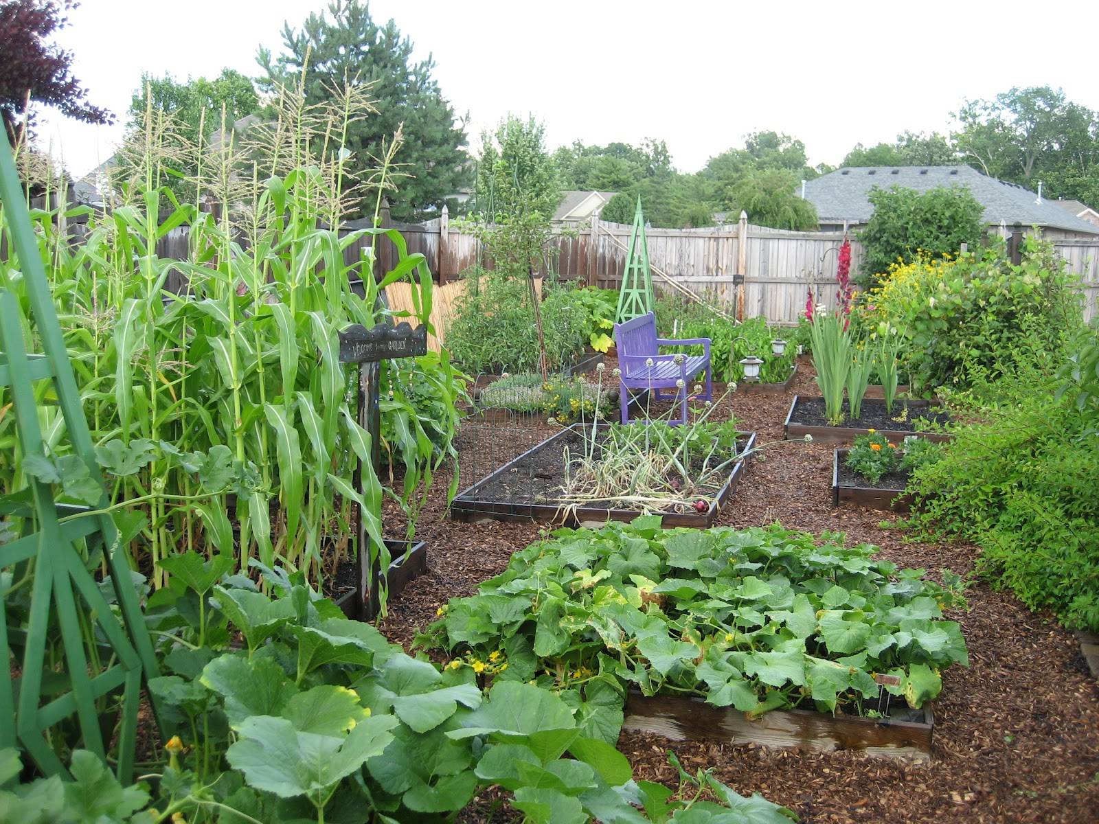 Innovative Food Gardens Ideas