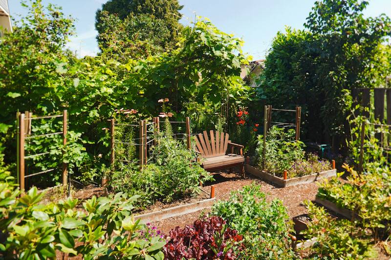 Fabulous Backyard Vegetable Garden Design Ideas