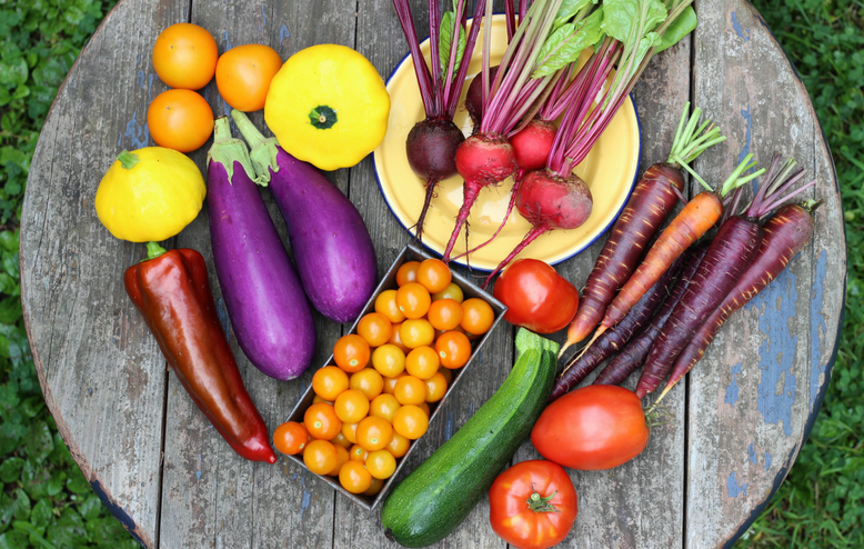 Free Vegetable Stock Photo Freeimagescom