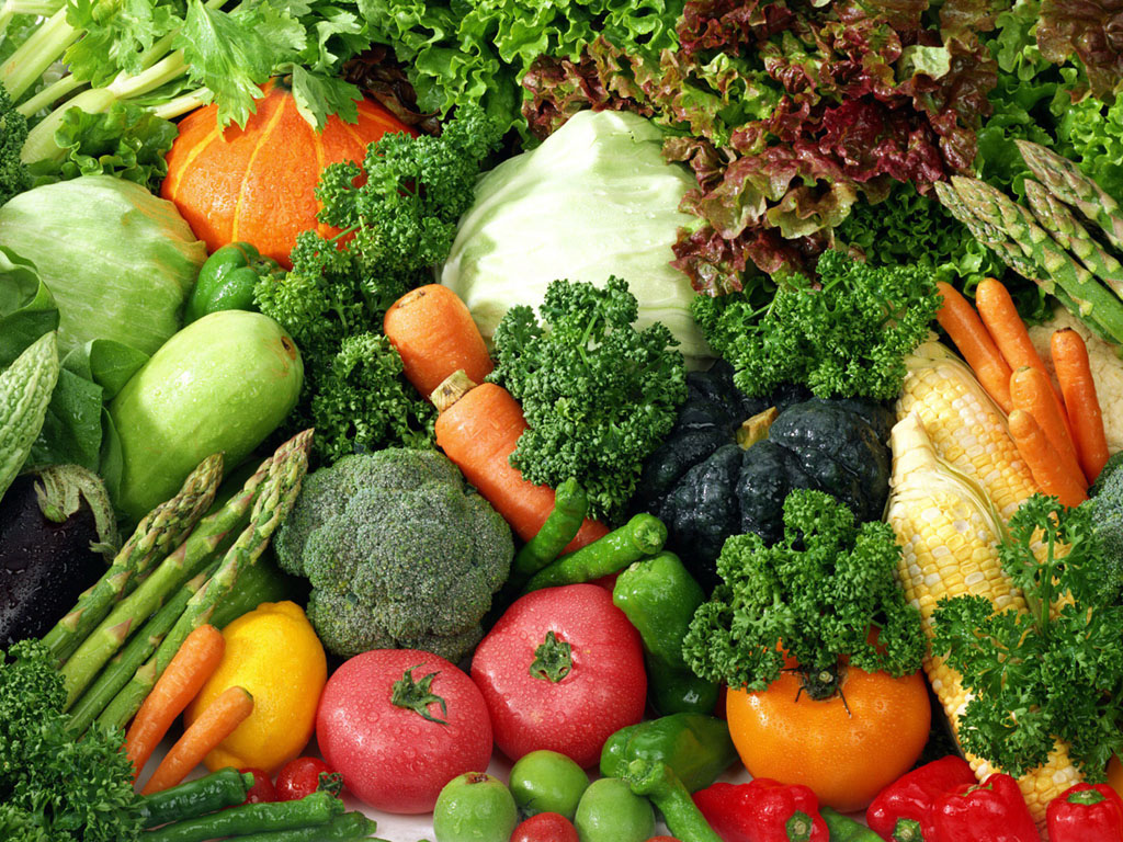 The Vegetable Garden