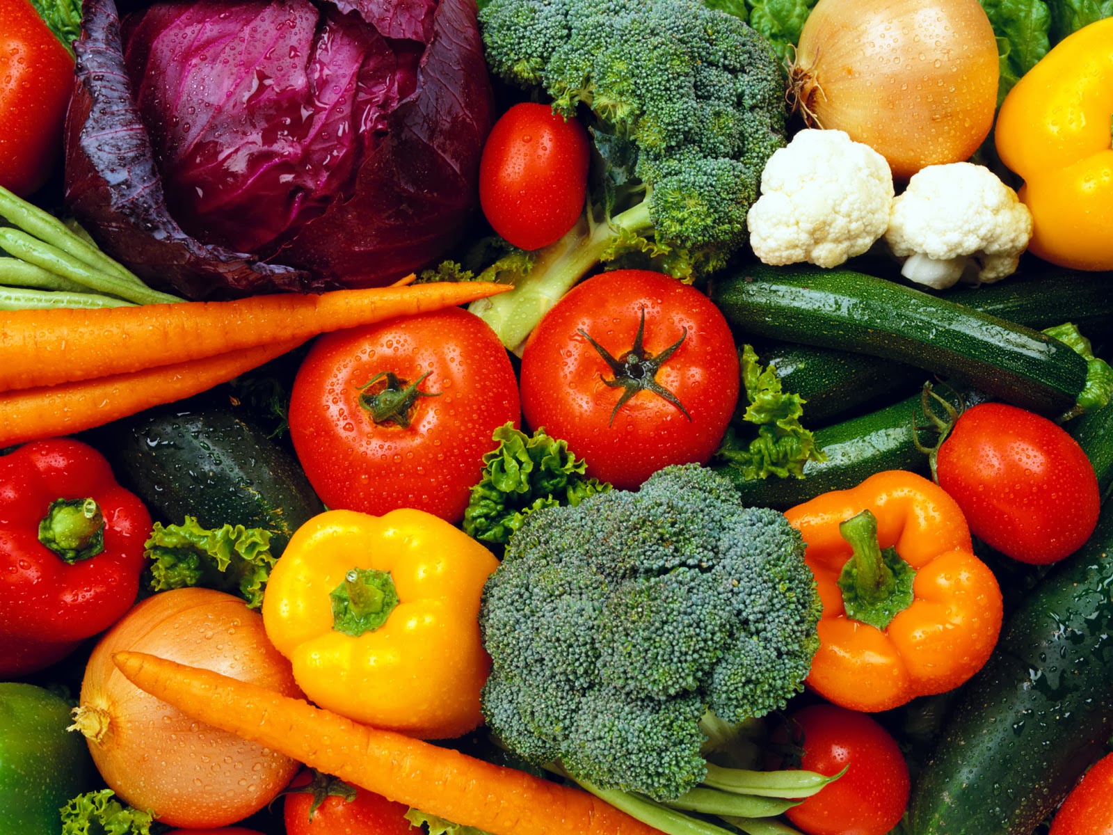 Vegetable Diseases Types