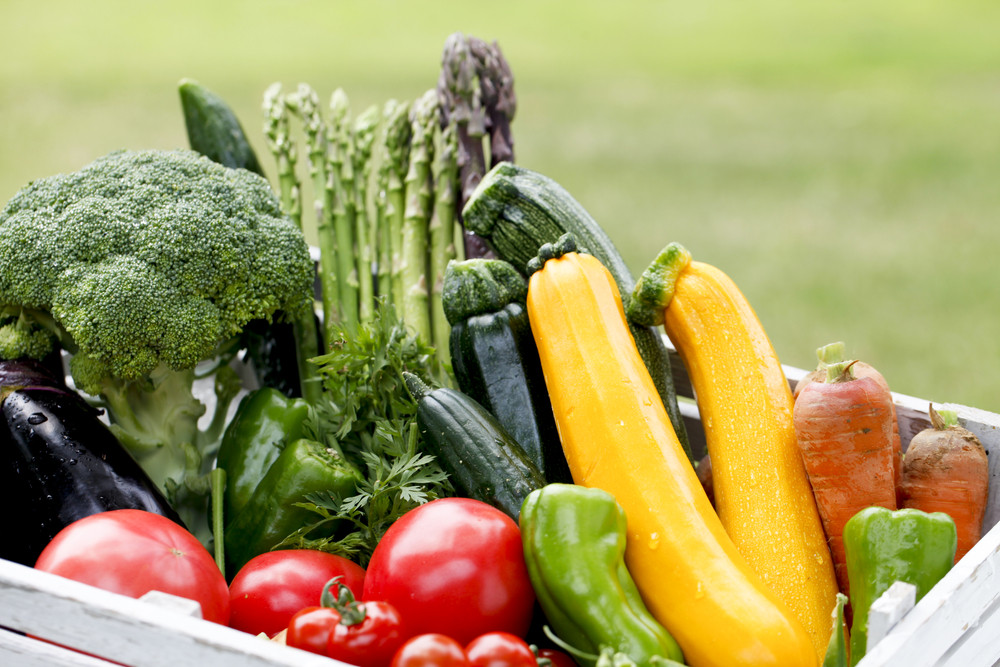 Vegetable Diseases Types