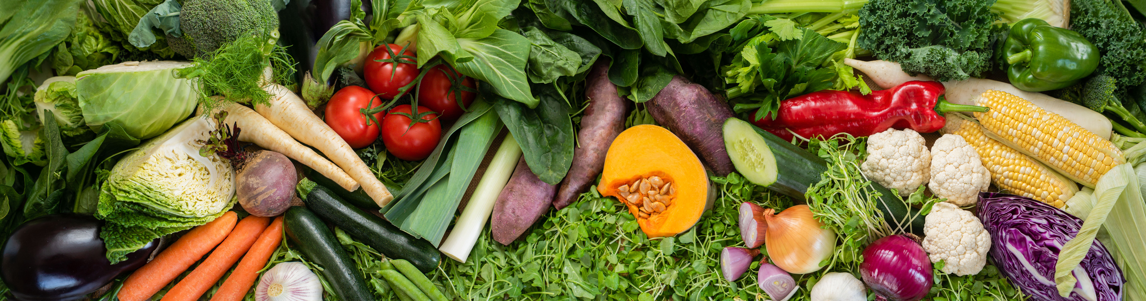 Vegetable Garden Seed Seedway